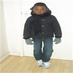 Petit Merve
