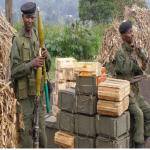 Congolese soldiers