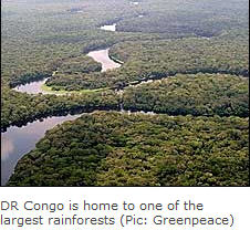 Congo rainforest