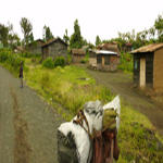 IDP in North Kivu - Congo