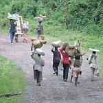 Displaced in North Kivu