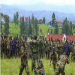 M23 soldiers demonstrate unarmed combat at Rumangabo military camp, North Kivu April 27, 2013