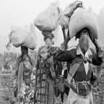 Rwandan refugees in DR Congo