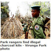 Virunga Park Ranger
