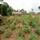 Renforcement des capacités sur les techniques agricoles pour une agriculture durable et la reduction de la préssion sur la forêt programme SOIL AWF-CIAT TSBF dans les territoire de DJOLU et BEFALE